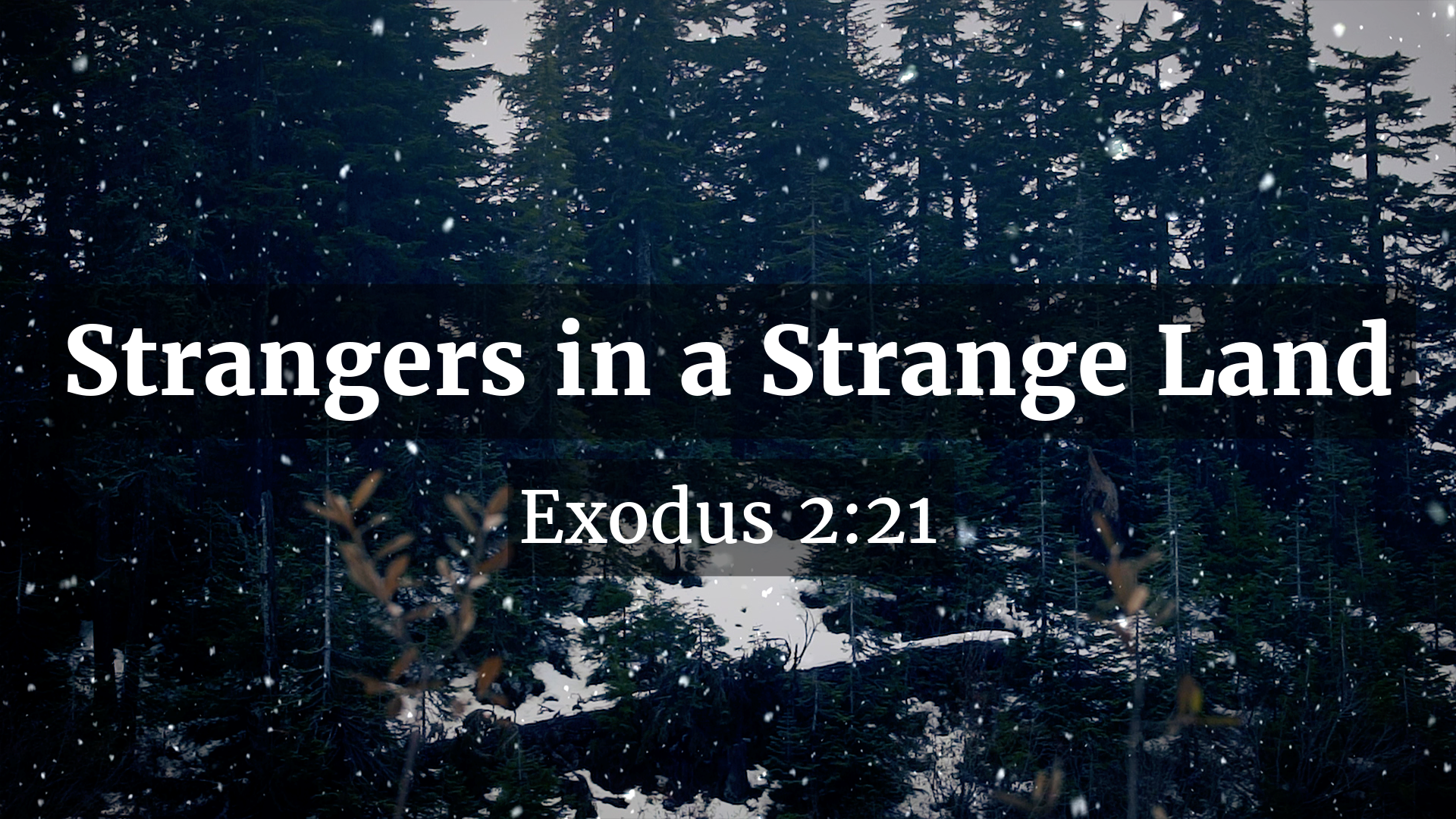 Strangers in a Strange Land