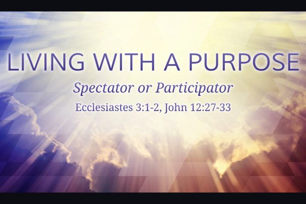 Living with a Purpose: Spectator or Participator